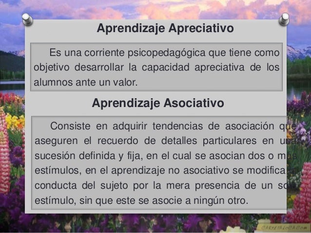 aprendizaje apreciativo